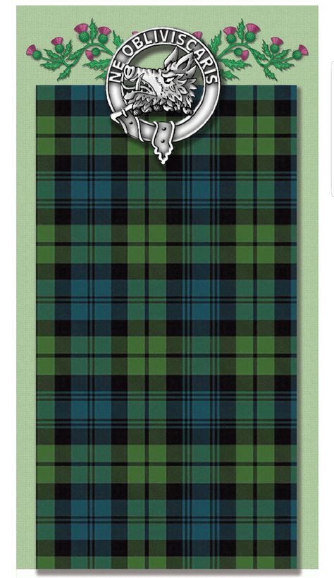 Campbell Plaid, Clan Campbell, Campbell Tartan, Campbell Clan, Clan Tartans, Scottish Clothing, Tartan Clothing, Ireland History, Scotland History