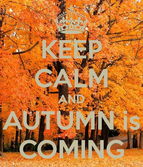 Autumn is coming quotes quote keep calm autumn fall hello fall hello autumn welcome autumn autumn is coming Love Yourself First Quotes, Calm Autumn, Autumn Is Coming, Keep Calm Posters, Fall Images, Fall Is Coming, Keep Calm Quotes, 10th Quotes, Autumn Quotes