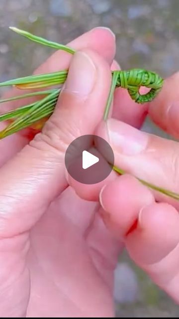 How To Make Pine Needle Baskets, Pine Needle Weaving, Pine Needle Crafts, Basket Weaving Diy, Self Organization, Pine Needle Baskets, Woodworking Ideas Table, Woodworking Ideas, Pine Needles