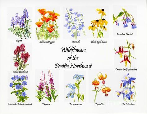 Tattoo Wildflowers, Wildflower Tattoo, Tropical Wedding Flowers, Indian Paintbrush, Collage Poster, Tiger Lily, Wild Flower, Flower Wall Art, Pacific Northwest