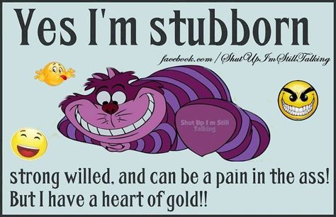 Yes I'm Stubborn funny quotes quote funny quote funny quotes humor stubborn Stubborn Quotes, Family Reunion Quotes, Lifetime Quotes, Funny Quotes Humor, Quotes Humor, Like Quotes, Hard Truth, Disney Quotes, Self Love Quotes