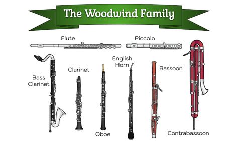 Learning About Musical Instruments Families | Woo! Jr. Kids Activities Instrument Families Printable, Classical Music Instruments, Brass Family Instruments, English Horn, Instruments Of The Orchestra, Instrument Families, Cooking In The Classroom, Bass Clarinet, Woodwind Instrument