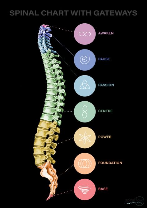 Here is the chart of the 7 spinal gateways that Spinal Flow Practitioners are taught to understand more about the spine and nervous system to help their clients heal The Spine Anatomy, Nervous System Flow Chart, Spinal Energetic, Spinal Flow Technique, Spine Frequencies, Spinal Energetics, Spine Chart, Spinal Nerves Anatomy, Spinal Flow