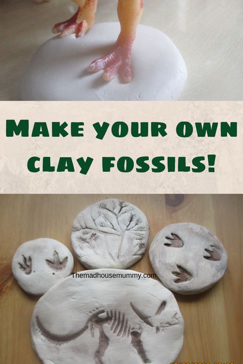 a quick guide on how to make your own air drying clay fossils for children! a great fun follow up from a museum trip or to support education. How To Make Fossils, Air Dry Clay Dinosaur Fossils, How To Make Fossils For Kids, Diy Fossils For Kids, Toddler Clay Crafts, Clay Fossils, Diy Fossils, Museum Activities, Storybook Village