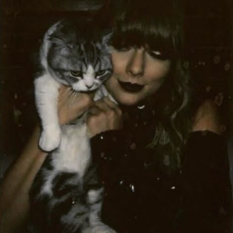 Taylor Swift Cat, Swift Tour, Red Tour, Forever Girl, Stadium Tour, Being Good, Taylor Swift Pictures, Taylor Alison Swift, Her Smile