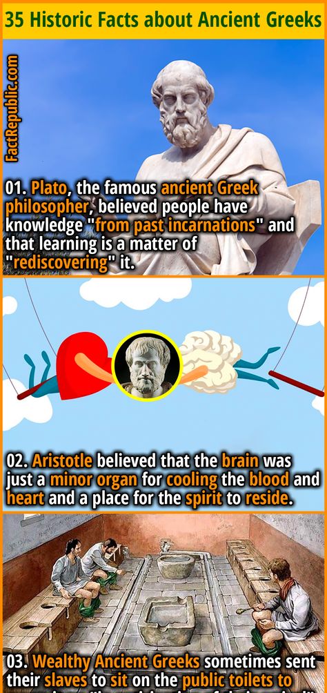 history entertainment wtffact funfacts Historic Facts, Ancient Discoveries, Ancient Greek Philosophers, Fact Republic, Heart Brain, Ancient History Facts, Cool Science Facts, History Facts Interesting, Greek Philosophers