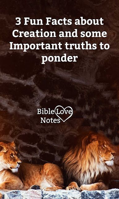 Fun Bible Facts Truths, Study Scripture, Bible Love, Bible Devotions, Bible Facts, Real Facts, Bible Knowledge, Gods Creation, Spiritual Life