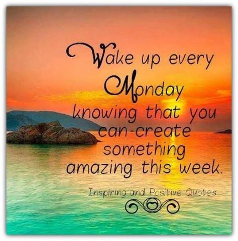 Monday Inspirational Quotes, Monday Morning Motivation, Happy Monday Quotes, Monday Morning Quotes, Patience Quotes, Monday Motivation Quotes, Bear Quote, Weekday Quotes, Monday Humor