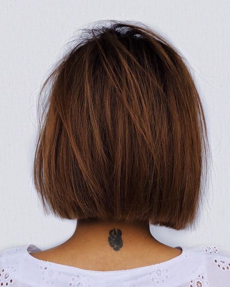 Hair Back View, Short Hair Back View, Longbob Hair, Short Hair Back, Cool Short Hairstyles, Hairstyles For, Short Straight Hair, Hair Back, Short Haircut