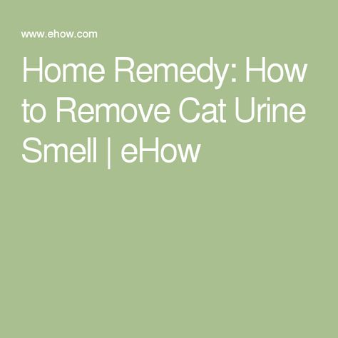 Home Remedy: How to Remove Cat Urine Smell | eHow Cleaning Cat Urine, Cat Pee Smell Removal, Remove Cat Urine Smell, Pet Urine Smell, Dog Pee Smell, Cat Urine Remover, Cat Pee Smell, Smell Remover, Cat Urine Smells