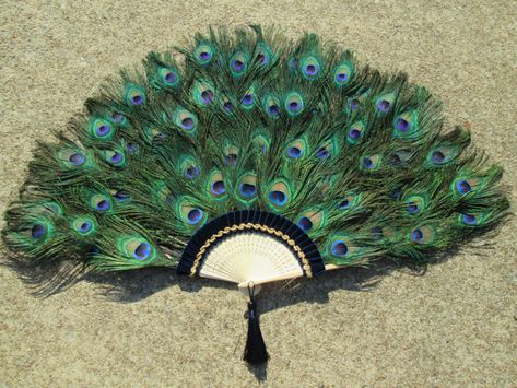 LVictoriaCollections Extra Large Peacock Feather Fan     33 to 36 inches  Made to Order   Wall Display Etc. Real feathers! 121 Peacock Feather Fan, Feather Tattoo Black, Mini Dishwasher, Feather Fans, Peacock Feather Tattoo, Antique Fans, Peacock Decor, Feather Fan, Types Of Gold