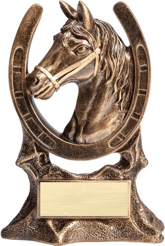 High School Sports Banquet, Horse Awards, Horse Trophy, High School Sport, Sports Banquet, Trophy Plaques, Corporate Awards, Tennis Tournament, Church Activities