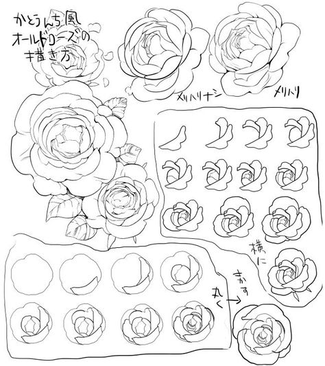 Hur Man Ritar Blommor, Object References, Candle Carousel, Art Steps, Ako Kresliť, Art 101, Flower Drawing Tutorials, Flowers Drawing, Rose Drawing