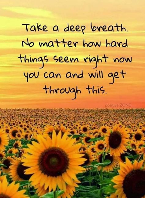 Take A Deep Breath Quotes, Breath Taking Quotes, Breath Quotes, Deep Breath Quotes, Breathe Quotes, Sunflower Quotes, Positive Encouragement, Sunflower Pictures, Good Night Prayer