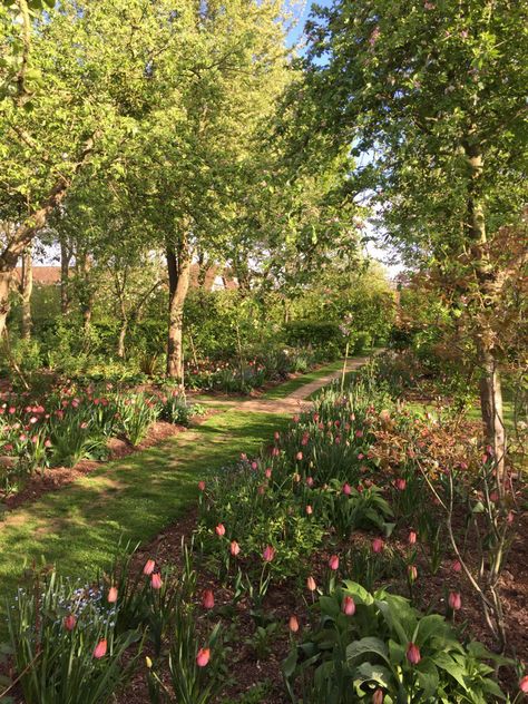 Monty Don, Gardening Design, Gardening Landscaping, Rock Gardens, Landscaping Garden, Garden Idea, Party Garden, Design Garden, Garden Designs