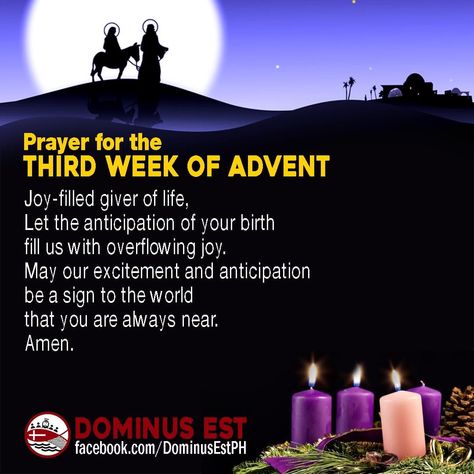 3rd Week Of Advent, Advent Sunday, Third Sunday Of Advent, First Sunday Of Advent, Best Christmas Wishes, Advent Ideas, Prayer For Love, Sunday Worship, Blessed Sunday