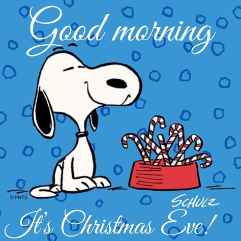 Merry Christmas Eve Quotes, Christmas Eve Quotes, Good Morning Christmas, Snoopy Comics, Happy Christmas Eve, Its Christmas Eve, Snoopy Images, Snoopy Quotes, Peanuts Christmas