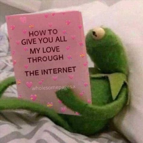 Sapo Kermit, Love You Meme, Wholesome Pictures, Snapchat Stickers, Current Mood Meme, Cute Love Memes, Snapchat Funny, Kraf Diy, You Meme