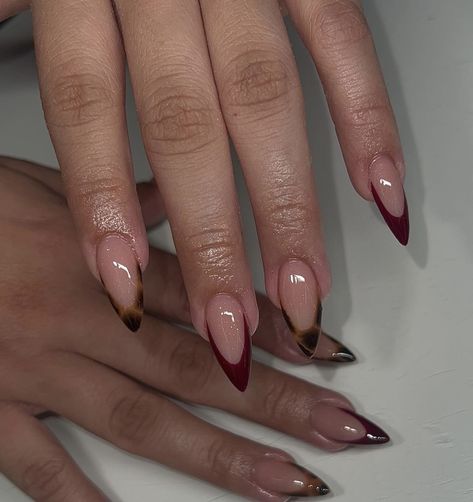 Fancy Party Nails, Accent French Tip Nails, French Tip With Design Almond, Dark Red Glass Nails, Sofisticated Nail Designs, Red With Cheetah Print Nails, Nails For September Fall, Red And Turtle Shell Nails, Jelly Red Cateye Nails