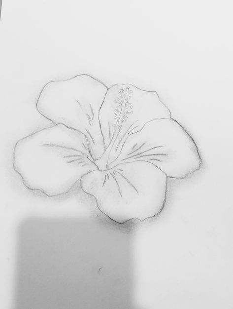 Hibiscus Flower Sketch, Hibiscus Sketch, Hibiscus Drawing, Flower Sketch, Flower Sketches, Diy And Crafts Sewing, Hibiscus Flower, Hibiscus Flowers, Crafts Sewing