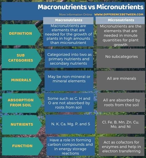 Difference Between Macronutrients and Micronutrients 3 Ionic Bonding, Mobile Payment, Mobile Wallet, Event Guide, Ohio University, Payment Processing, Mobile Payments, Mobile Banking, Security Guard