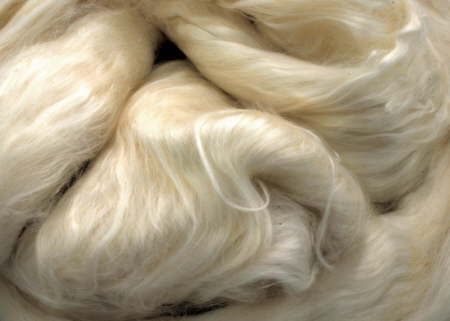 Mulberry (Bombyx) silk found on wildfibres.co.uk Animals And Plants, Spinning Wool, Spinning Yarn, Spinning Fiber, Fibres Textiles, Natural Fibre, Natural Fibres, Silk Road, Spinning Wheel