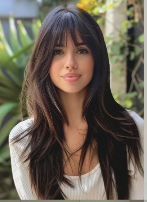 Long Brown Hair Long Bangs, Bangs And Face Shape, Long Length Haircut No Layers, Feathery Bangs Medium Hair, Curtain Bangs In Straight Hair, Taylor Swift Hair Inspiration, Long Straight Hair With Layers And Bangs, Subtle Shag Haircut Long, Long Latina Hair