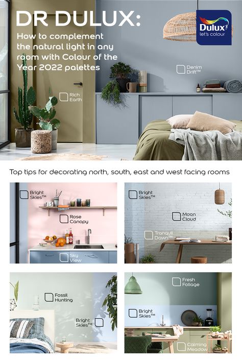 How to use the Colour of the Year 2022 palettes to complement the natural light in your home Dulux Bright Skies Bedroom, Blue Color Palette Living Room, Colour Of The Year 2022, Tutorial Eyeliner, Color Palette Living Room, Cat Tembok, Hunting Room, Dulux Paint, Fossil Hunting