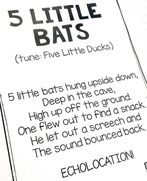 Bat lesson plan ideas with engaging activities to support reading comprehension. Math & literacy centers, crafts, videos, and yummy snacks, too! #batlessonplanideas #stellaluna #batlovesthenight #batlessonplans Nocturnal Animal Songs For Preschool, Bat Songs Preschool, Bats For Preschool, Bat Day Kindergarten, Bats Lesson Plans Preschool, Bat Activities Preschool, Bats Preschool, Poem For Kindergarten, Preschool Bats