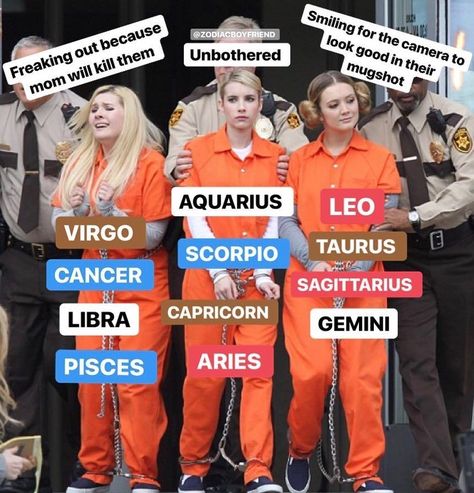 Arrested Aesthetic, Capricorn Funny, Zodiac Pictures, Aquarius Scorpio, Pisces Virgo, Libra Aries, Zodiac Signs Pictures, Leo Zodiac Facts, Aries Zodiac Facts