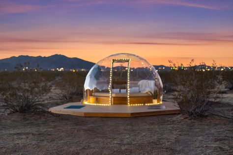 The Art Of The Desert ♡unique 5☆ private!♡pool♡spa - Houses for Rent in Joshua Tree, California, United States - Airbnb Joshua Tree Airbnb, Airbnb House, Joshua Tree California, Unique Places, Pool Spa, Joshua Tree, 2 Beds, The Desert, Private Pool