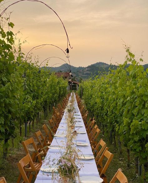 Vineyard Dinner, Outdoor Wedding Seating, Wedding Lunch, Garden Party Outfit, Porch Life, Picnic Style, Culture Food, Wine House, Wine Country California