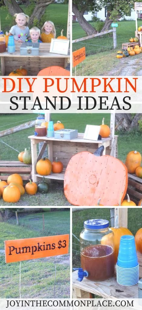 DIY Pumpkin Stand Ideas: Find out a few tips to sell pumpkins on the roadside! #pumpkins #pumpkinstand #sellpumpkins #roadside #roadsidestand #pumpkinpatch #diy #selling Pumpkin Stand Diy, Fall Decorations Diy, Roadside Stand, Pumpkin Stand, Diy Playroom, Pumpkin Stands, Halloween Sprinkles, Stand Ideas, Autumn Activities For Kids