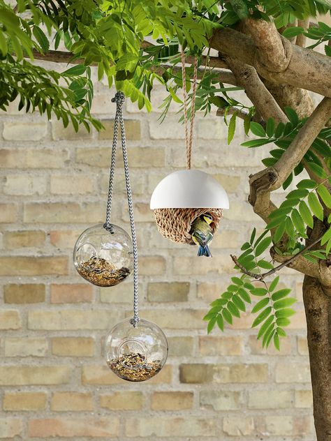 Our pick of the best bird feeders are perfect if you want to attract wildlife to your garden. So, whether yours is an urban plot or a country idyll, choose one of these cute, quirky bird feeders. #garden #gardening #birdfeeders #wildlife #realhomes Carpenter Bee Trap, Bee Traps, Best Bird Feeders, Small City Garden, Glass Bird Feeders, Jungle Fever, Birdhouse Designs, Diy Bird Feeder, Modern Birds