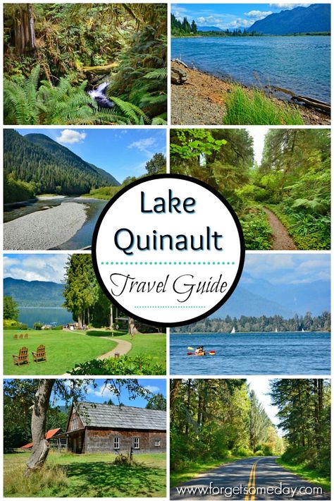 Quinault Rainforest, Olympic Peninsula Washington, Lake Quinault, Pacific Northwest Travel, Washington State Travel, Backyard Summer, Washington Travel, Scenic Travel, Destination Ideas