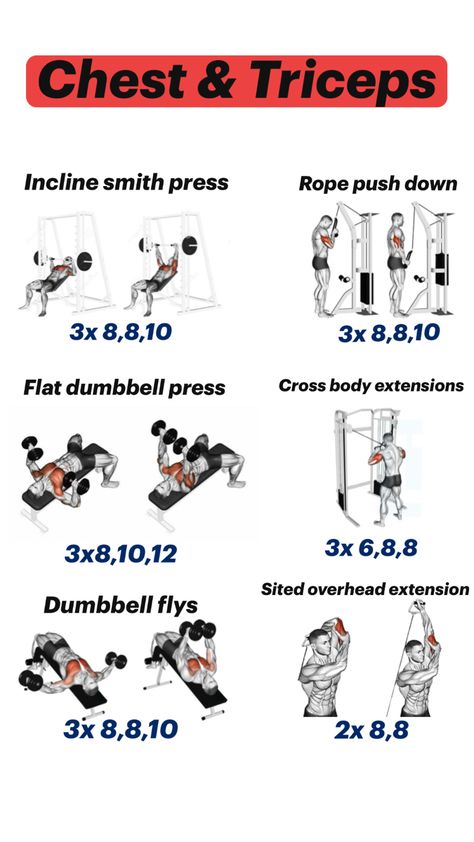 Chest Triceps Workout, Chest And Tricep Workout, Tricep Workout, Workout Gym Routine, Dumbbell Press, Gym Routine, Triceps Workout, Gym Workouts, Gym