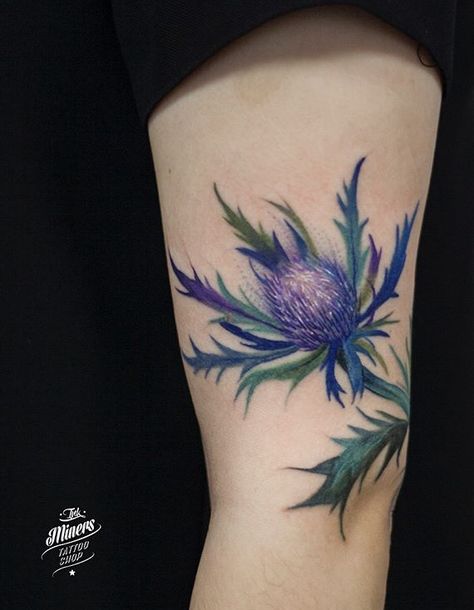 Magdalena Bujak thistle flower Tattoo Farm Inspired Tattoo, Irish Scottish Tattoo, Viking Flower Tattoo, Milk Thistle Tattoo, Blue Thistle Tattoo, Scottish Unicorn Tattoo, Scottish Tattoos For Women, Thistle Sketch, Thistle Tattoo Black