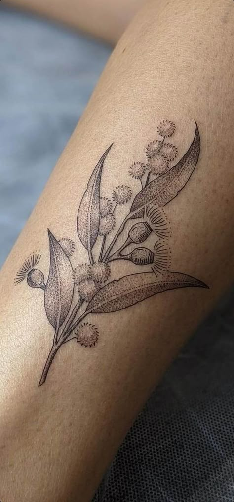 Australian Wattle Tattoo, Metis Tattoo Ideas, Native Flowers Tattoo, Acacia Flower Tattoo, Australian Animal Tattoo Sleeve, Australian Native Tattoo Sleeve, Gum Leaves Tattoo, Australian Natives Tattoo, Flowering Gum Tattoo