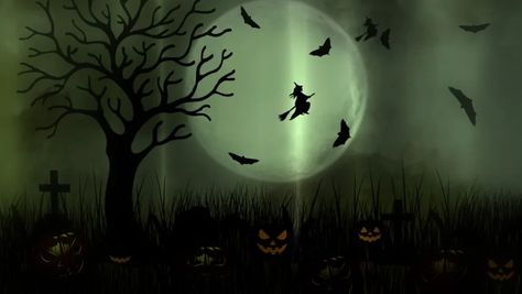 Get a 7.033 second dark green halloween haunted house stock footage at 30fps. 4K and HD video ready for any NLE immediately. Choose from a wide range of similar scenes. Video clip id 1080366614. Download footage now! Haunted House Background, House Background, Green Halloween, Halloween Haunted House, Halloween Background, Halloween Haunted Houses, Halloween Backgrounds, Halloween Haunt, Haunted House