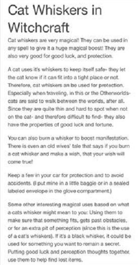 Protection Spell Ingredients, Cat Spells, Cat Spells Witches, Cat Witchcraft, Witchcraft Luck, Spells With Cat Whiskers, Lost Cat Spell, Spell To Find Lost Cat, Cat Whiskers Witchcraft