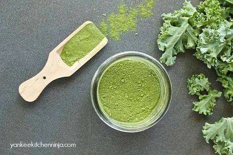 Homemade Protein Powder, Kale Vegetable, Kale Powder, Dehydrated Recipes, Fruit Powders, Winter Smoothies, Smart Hacks, Skin And Hair Clinic, Paleo Diet Plan