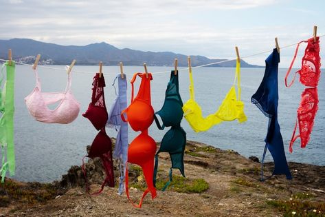 Free photo still life of different types... | Free Photo #Freepik #freephoto #bra #lingerie #hang #hanging-clothes Lingerie Clothesline, Types Of Bras, Photo Still Life, Lacy Bra, Washing Line, Hanging Clothes, Psd Icon, Bra Types, Clothes Line