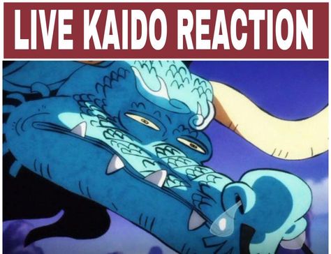 King Of The Pirates, One Piece Funny Moments, Kaido One Piece, Luffy Zoro Sanji, Zoro Sanji, Luffy Zoro, One Piece Meme, Pirate Adventure, Hand Drawing Reference