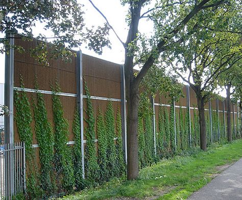 Acoustic Fence, Acoustic Barrier, Types Of Climbing, Noise Barrier, Lake House Exterior, Compound Wall Design, House Styling, Compound Wall, Home Landscaping