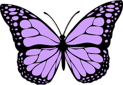 "light purple butterfly" Sticker by karestolarczyk | Redbubble Purple Butterfly Sticker, Light Purple Butterfly, My Butterfly, Drawings For Boyfriend, Lavender Butterfly, Snow White Disney, Butterfly Collection, Butterfly Cakes, Butterfly Drawing