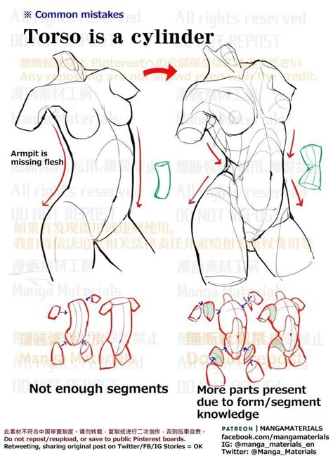 Female Anatomy Reference, Anatomy Tutorial, Human Anatomy Drawing, Body Drawing Tutorial, Human Anatomy Art, Anatomy Sketches, Body Reference Drawing, Foto Poses, Anatomy Drawing