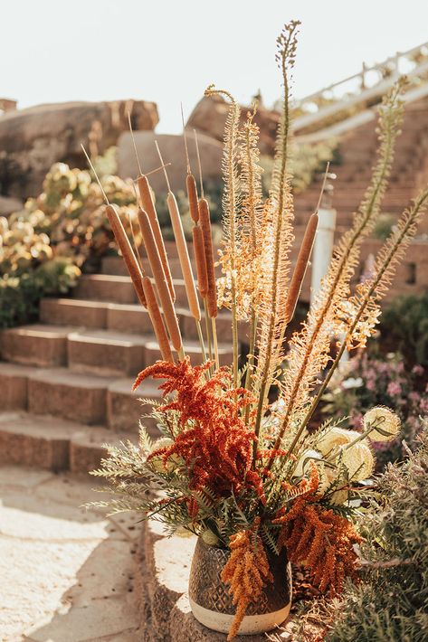 How to plan a dinner party wedding in the backyard?? This day shows it all with hanging pampas, waterfall fairy lights and desert colors. Pampas With Flowers, Cat Tail Wedding Decor, Yellowstone Themed Wedding, Hanging Pampas, Wedding With Pampas, Waterfall Fairy, Ace Hotel Wedding, Wedding Palettes, Fall Floral Centerpieces