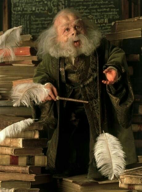 Professor Flitwick teach a wand move the feathers Filius Flitwick, Professor Flitwick, Harry Potter Professors, Hogwarts Professors, Warwick Davis, Harry Potter Cast, Harry Potter Series, Harry Potter Movies, Harry Potter Characters