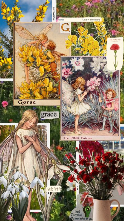 gorse for g + carnation & snowdrop for january #flowers #cecilymarybarker #birthmonth #birthday #january #carnation #pink #flower January Flowers, January Carnation, Carnation Pink, Birth Month, Pink Flower, Your Aesthetic, Flower Art, Energy, Collage