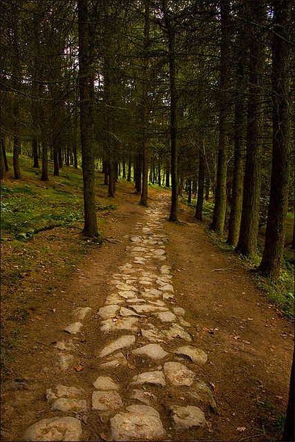 Stone Road, Waterfall Trail, Brick Road, Thanksgiving Holiday, Life Is A Journey, Life Path, Dark Forest, Garden Paths, Walkway